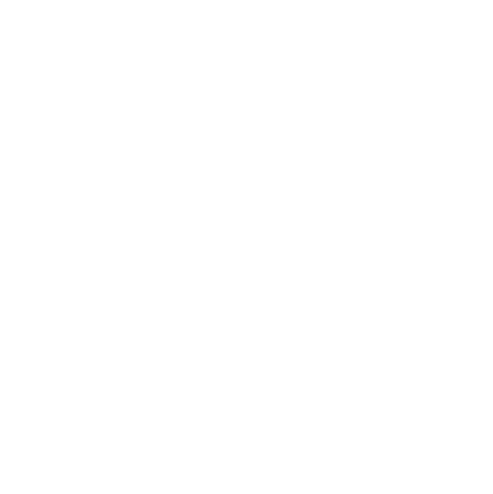 Big Google Icon